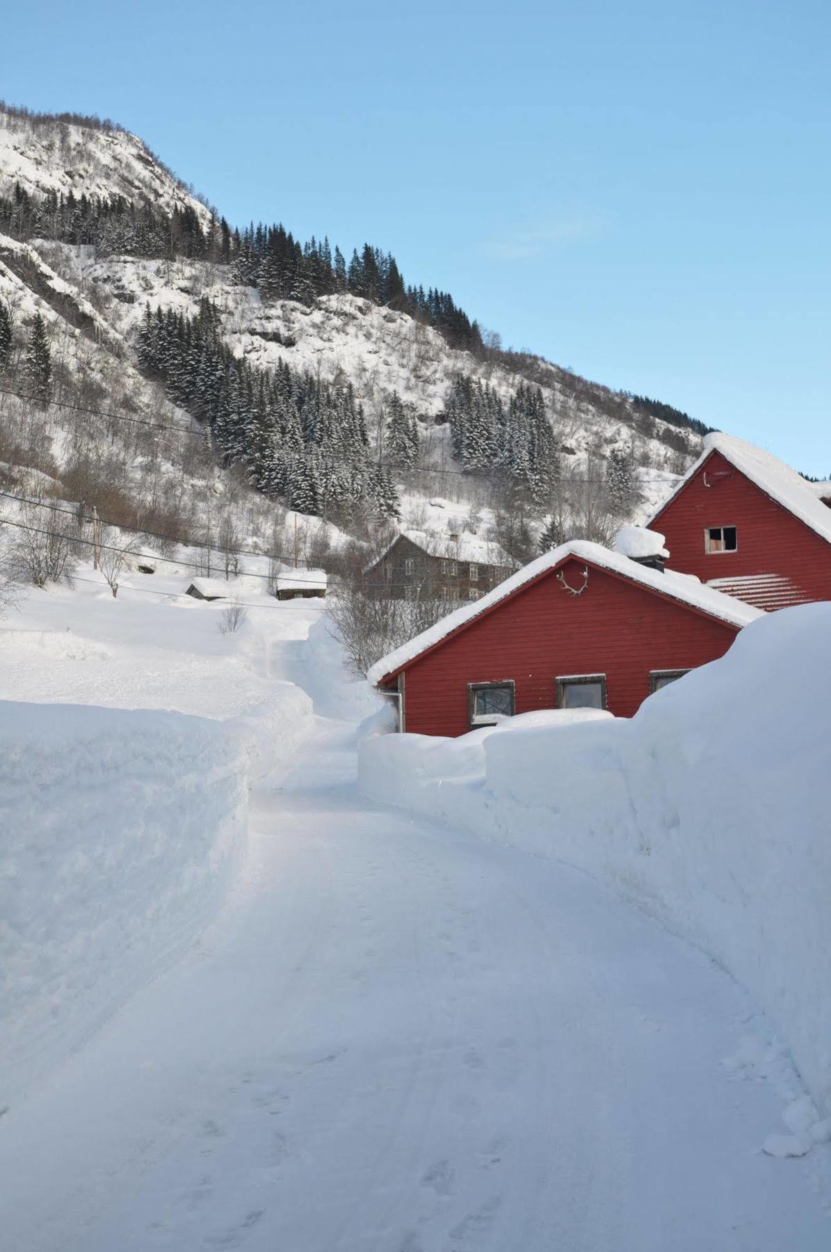 Vinje Turisthotel Myrkdalen Exteriör bild